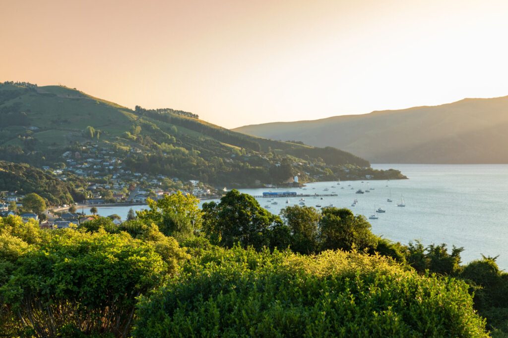 La péninsule de Banks / Akaroa - paysage Nouvelle Zélande