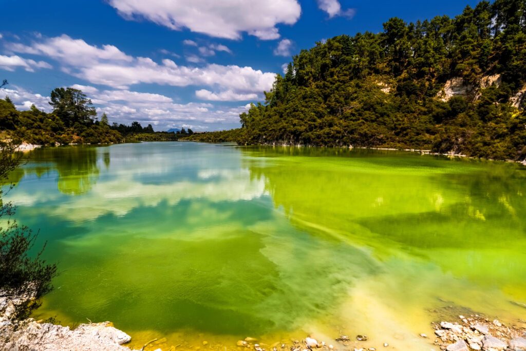 Lac acide de Wai-O-Tapu - paysage Nouvelle-Zélande