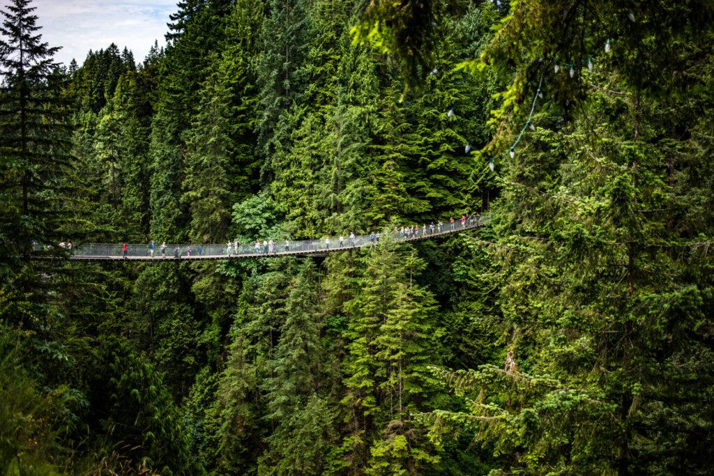 Le pont Suspendu Capilano tout proche de Vancouver