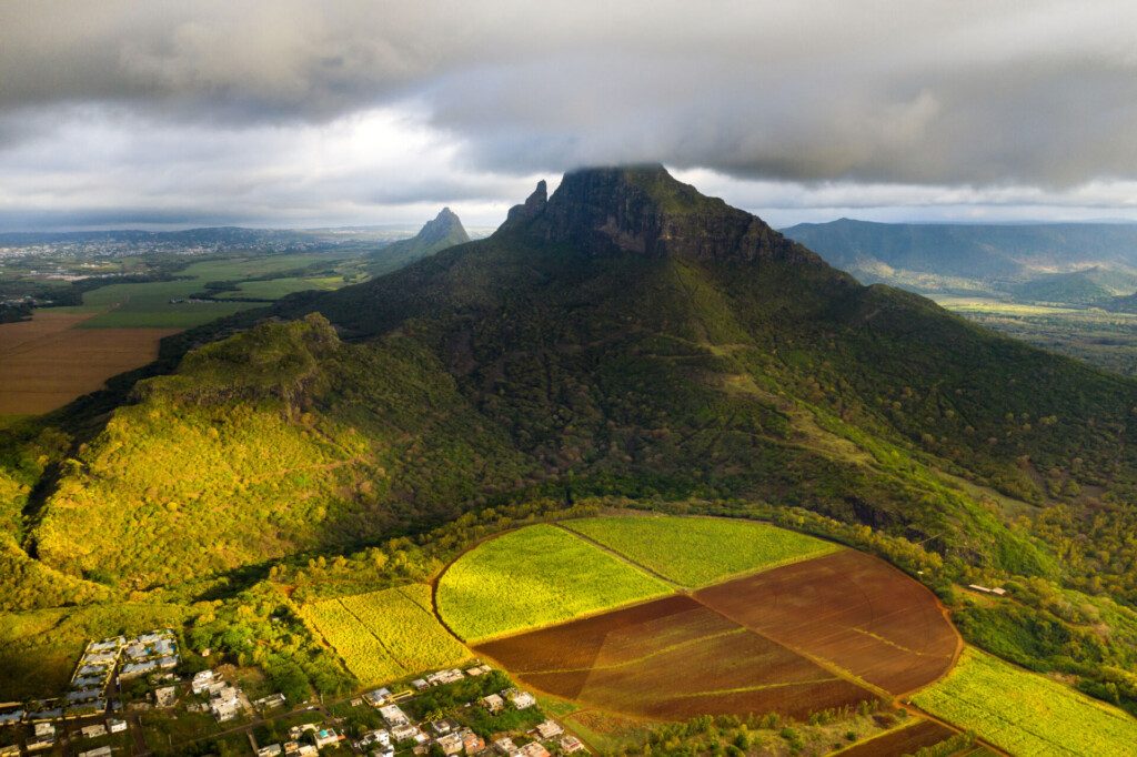 Les champs semés de l’île Maurice