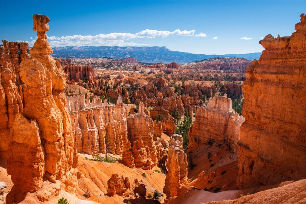 Les hoodoos du Parc National de Bryce Canyon (Utah)