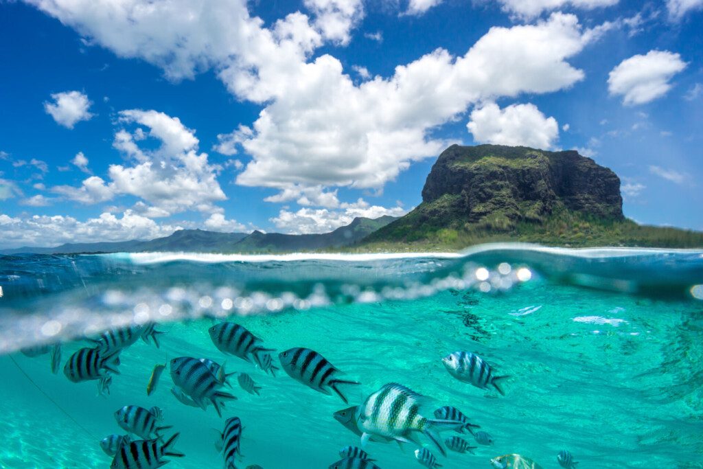 L’île Maurice, entre terre et mer