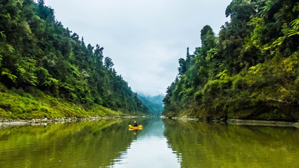 paysage Nouvelle Zelande - Whanganui River © Maxime Aubin