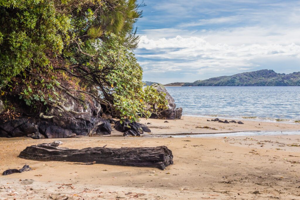 Stewart Island - paysage Nouvelle Zélande