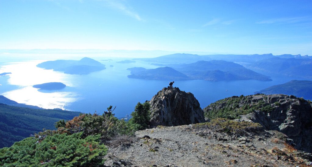 Sur la crête du mont Brunswick dans le parc provincial Cypress, près de Vancouver