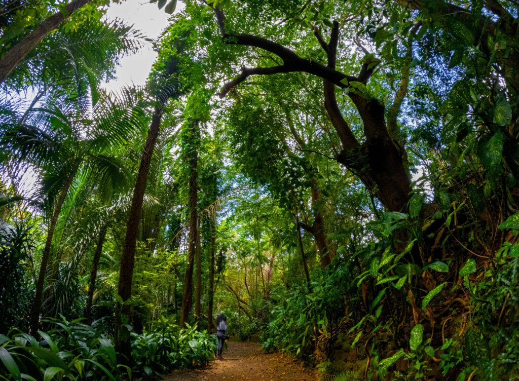 Vanille Nature Park - île Maurice