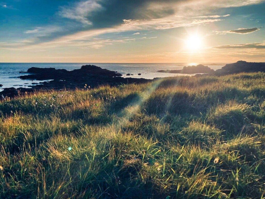 Golf du Morbihan - Quiberon cote sauvage © Alice Giraudon