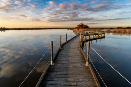 12 visites incontournables à faire autour d’Arles