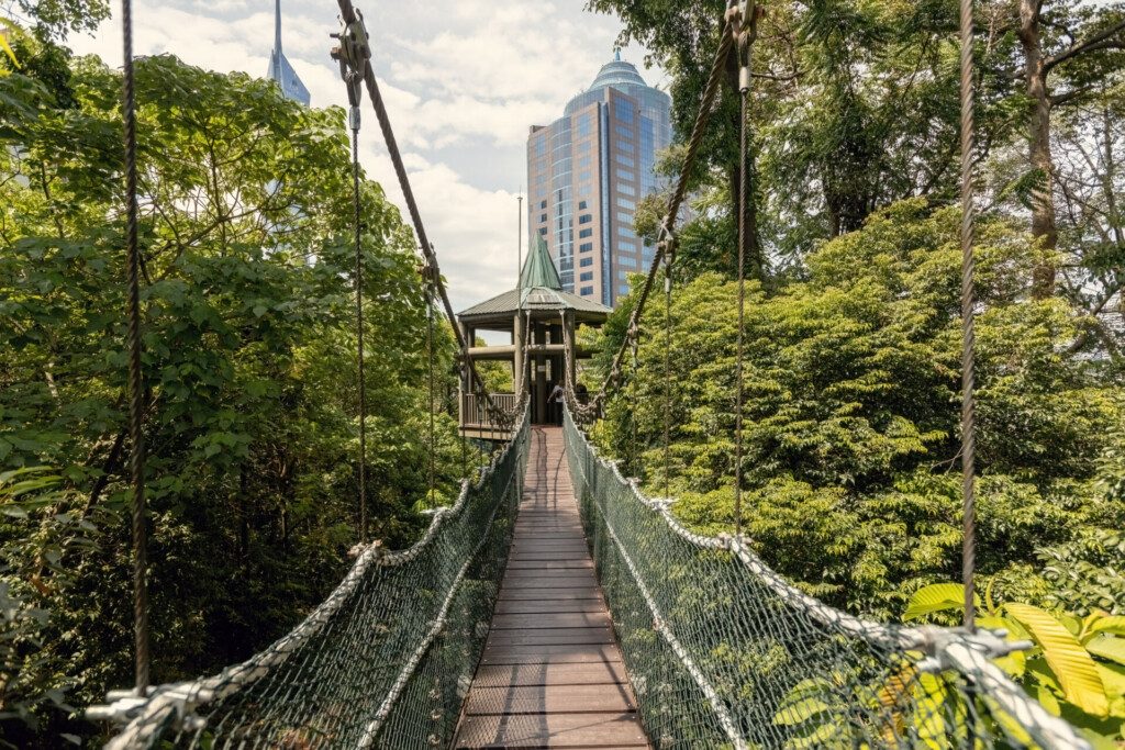 KL Forest Eco Park (Malaisie)