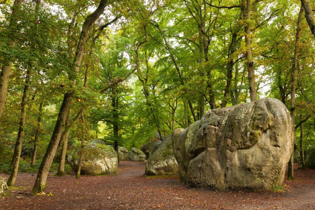 La forêt de Fontainebleau et ses rochers, en Ile-de-France