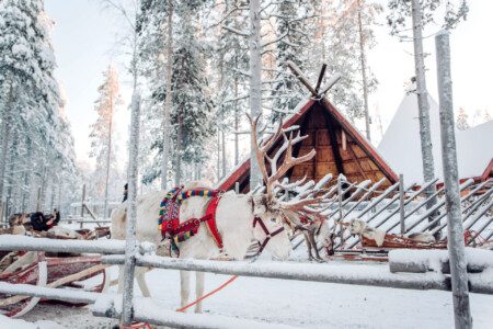 Laponie à Noël : mes conseils pour un séjour inoubliable