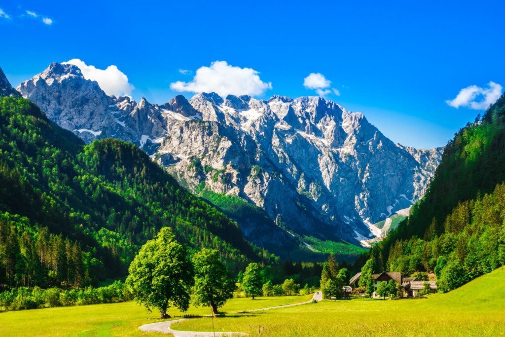 Paysage magnifique dans la Vallée de Logar