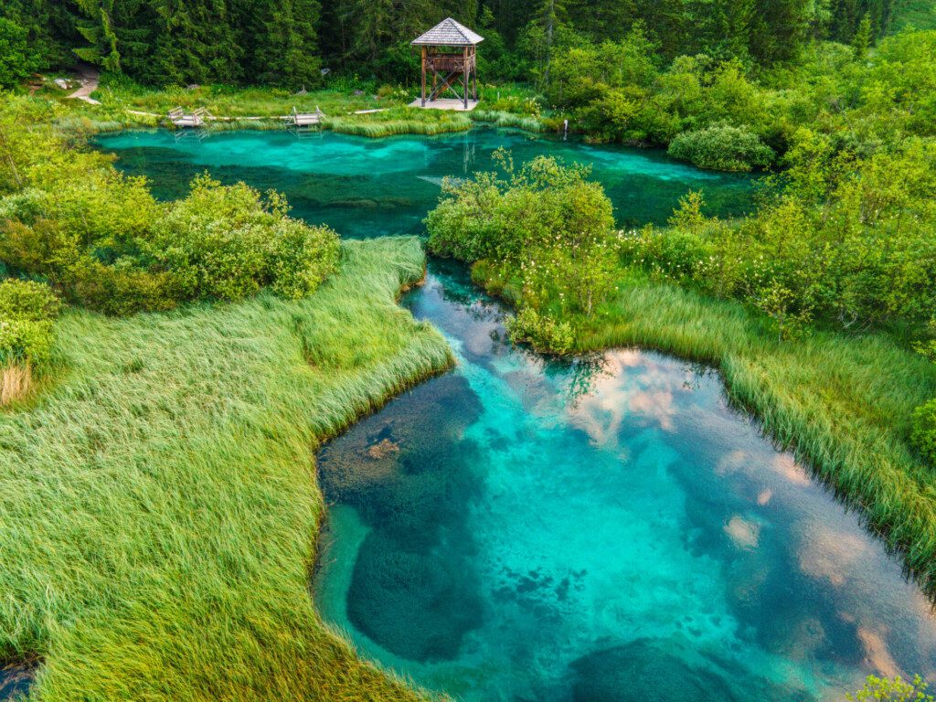 Paysage naturel insolite dans la Réserve naturelle de Zelenci