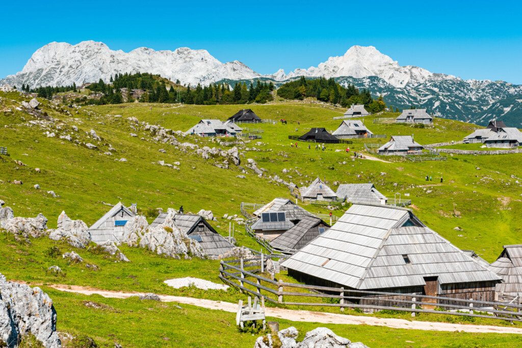 Paysage typique du Plateau de Velika Planina