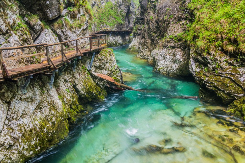 Vue sur les Gorges de Vintgar