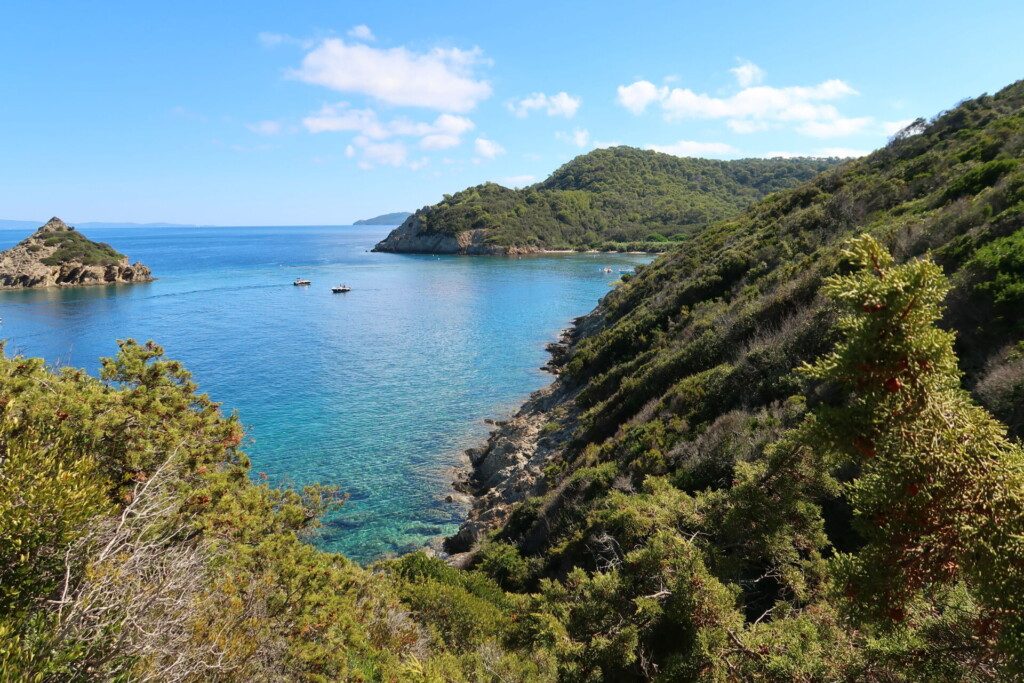 L'Île de Port-Cros et son panorama sur la côte escarpée