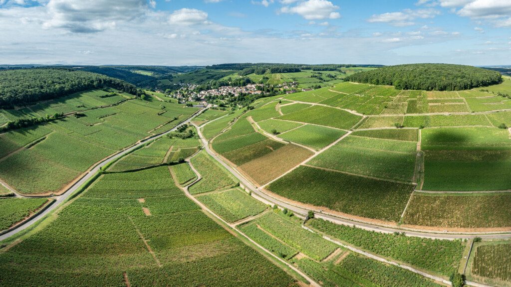 A la découverte des vignobles de Bourgogne