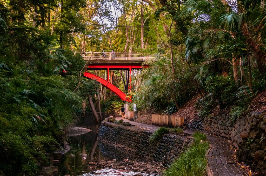 La vallée de Todoroki proche de Tokyo