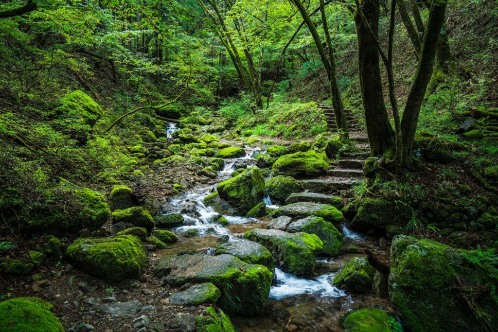 Le Rock Garden au Mont Mitake, dans le parc national de Chichibu-Tama-Kai