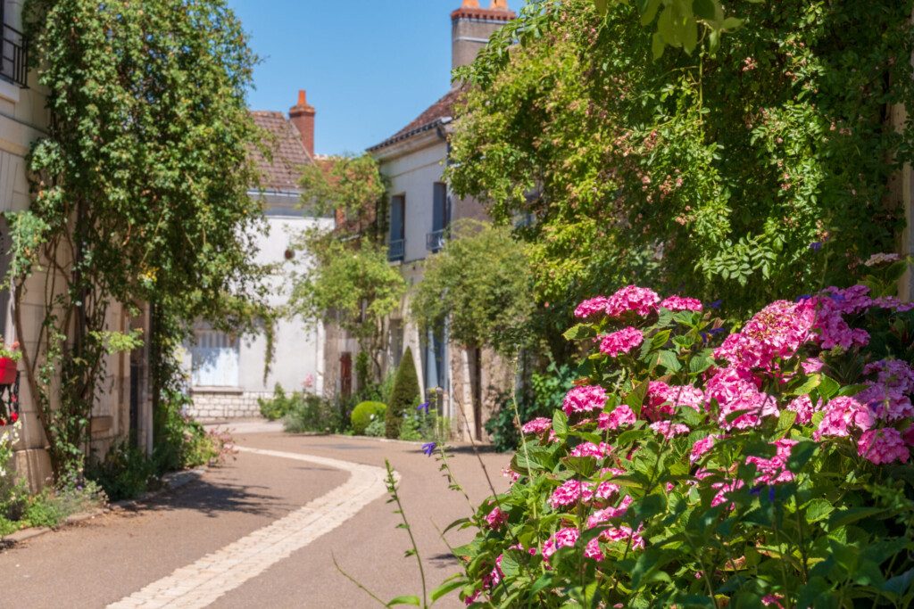 Le village de Chédigny et ses ruelles fleuries