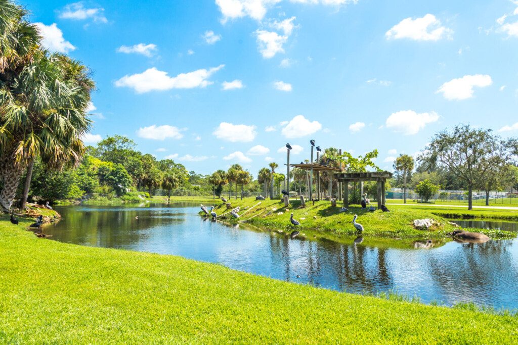 Lion Country Safari, un parc zoologique proche autour de Miami