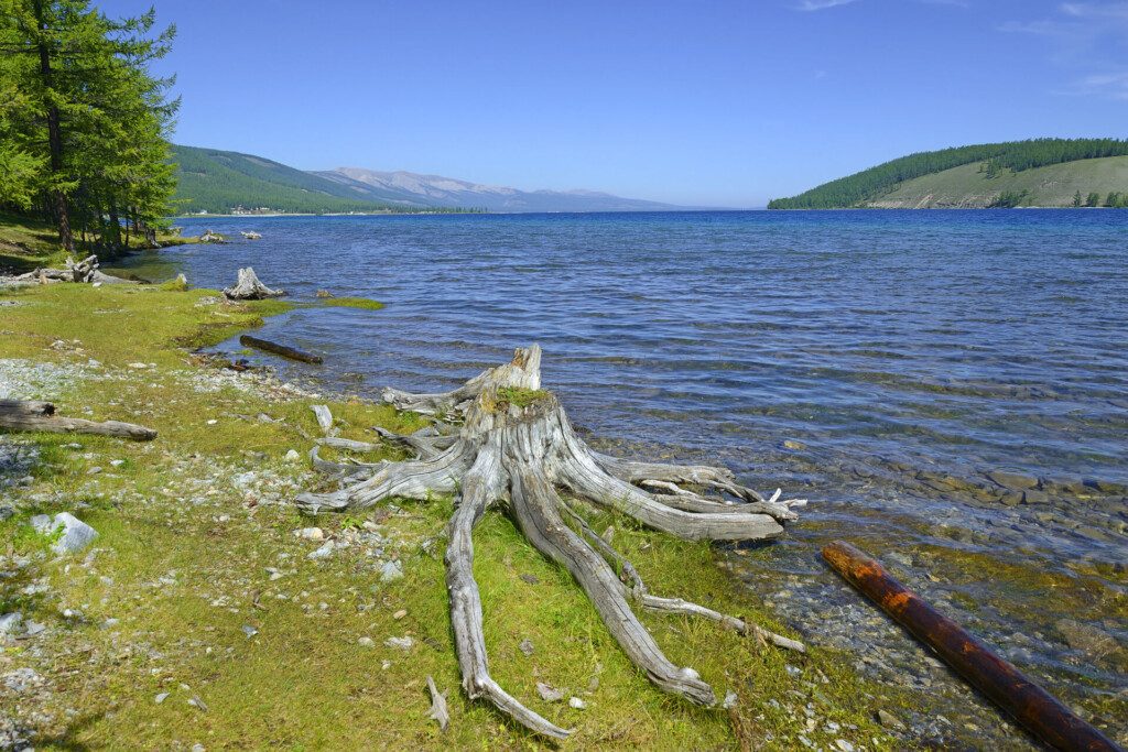 Lac Khövsgöl dans le nord de la Mongolie