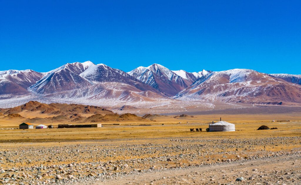 Paysage typiques des steppes mongoles