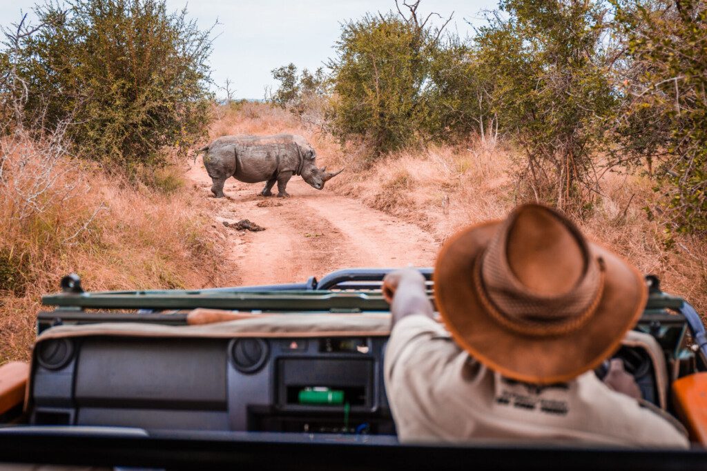 Guide lors d'un safari en Afrique du Sud