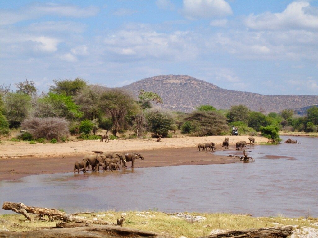 Kenya Réserve nationale de Samburu