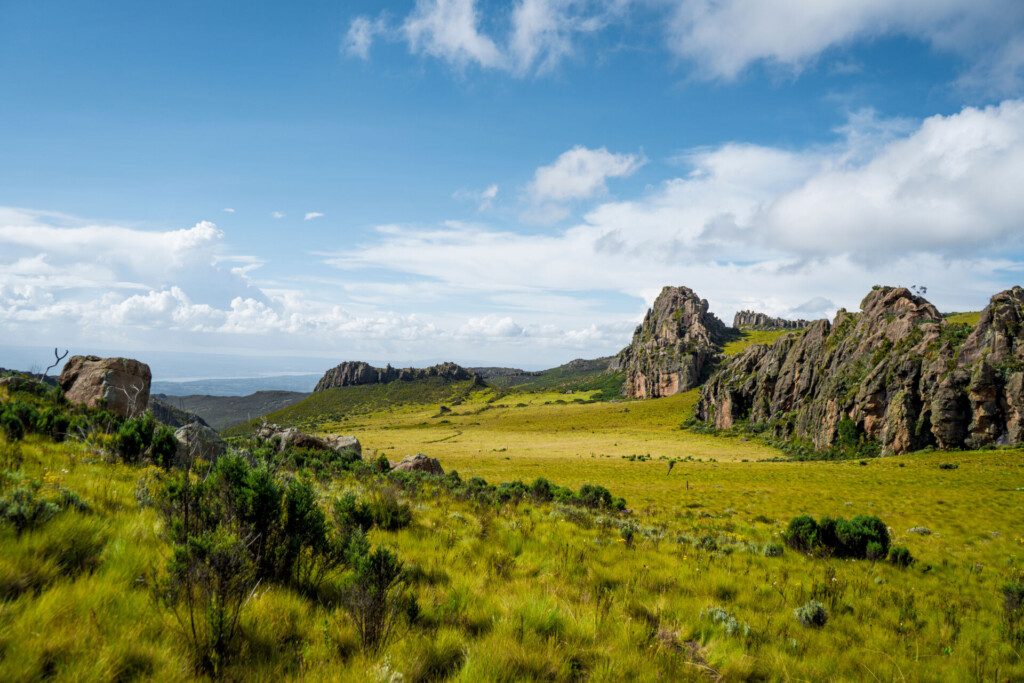 Magnifique paysage au parc national d'Aberdare (Kenya)