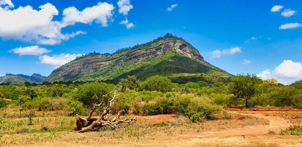 Paysage de Tsavo West au Kenya