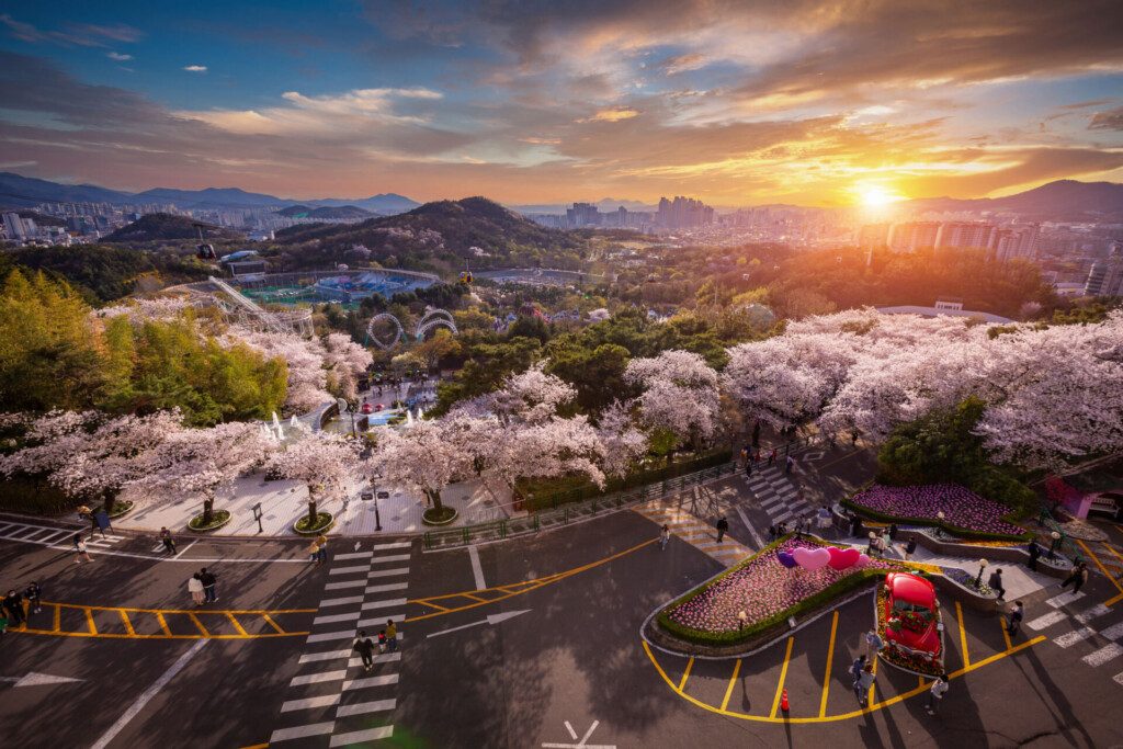 Vue sur la ville de Daegu et son parc à thème E-World